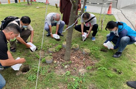 環保葬|環保葬5種類！全台樹葬、花葬設施、費用、地點總整。